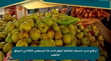 ارتفاع جديد بأسعار الفاكهة اليوم الأحد 24 أغسطس 2025 في أسواق الأقصر